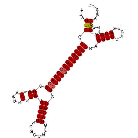 secondary structure