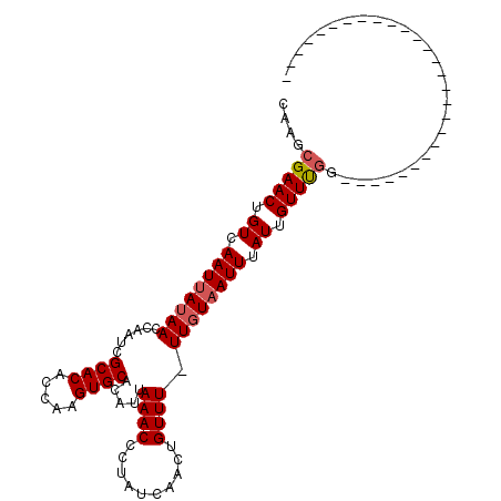 secondary structure