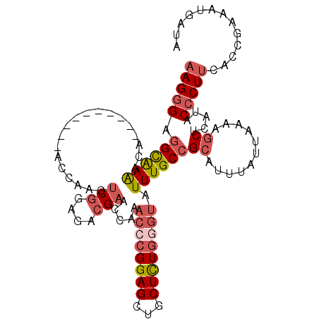 secondary structure