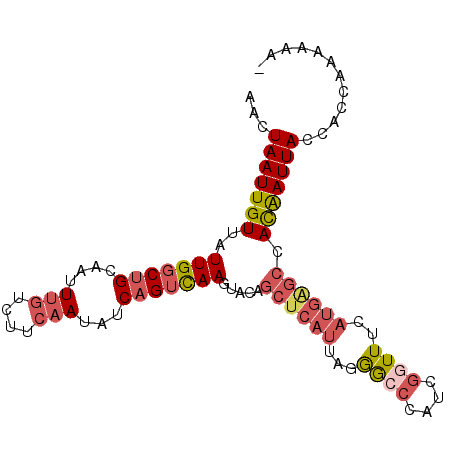 secondary structure