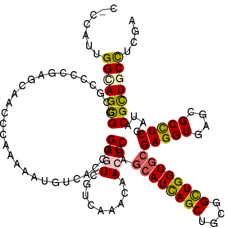 secondary structure