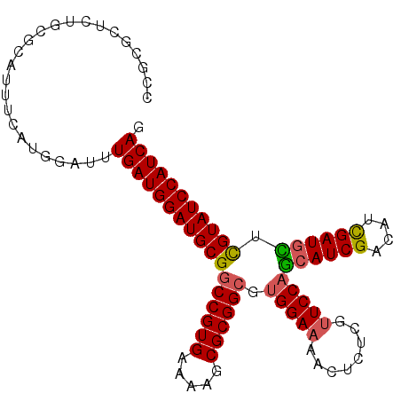secondary structure