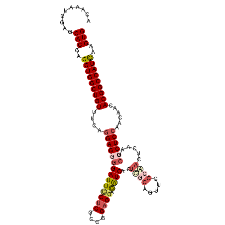 secondary structure
