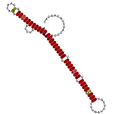 secondary structure