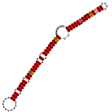 secondary structure