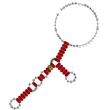 secondary structure