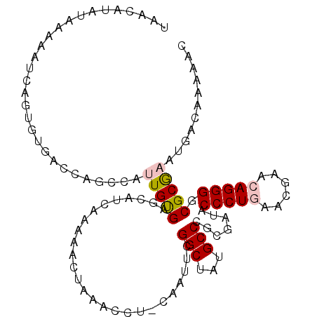 secondary structure