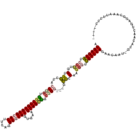 secondary structure