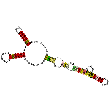 secondary structure