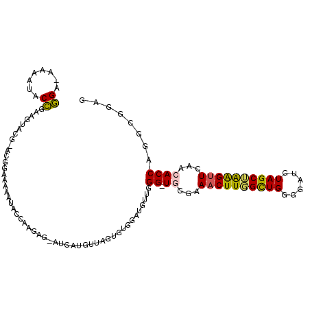 secondary structure