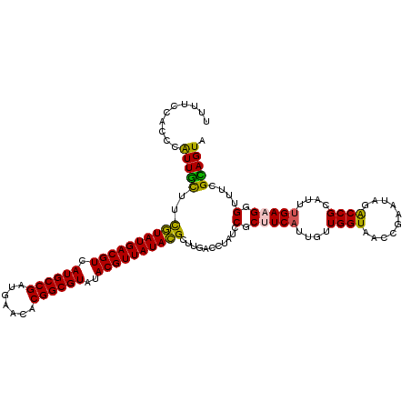 secondary structure
