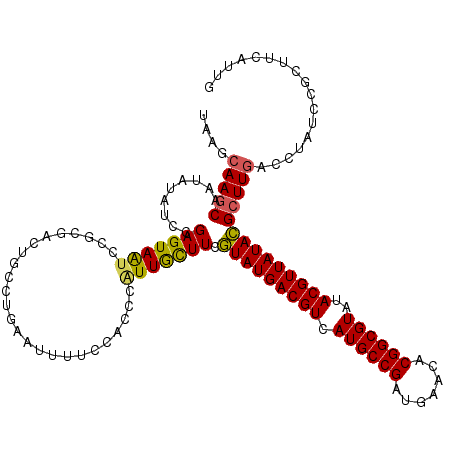 secondary structure