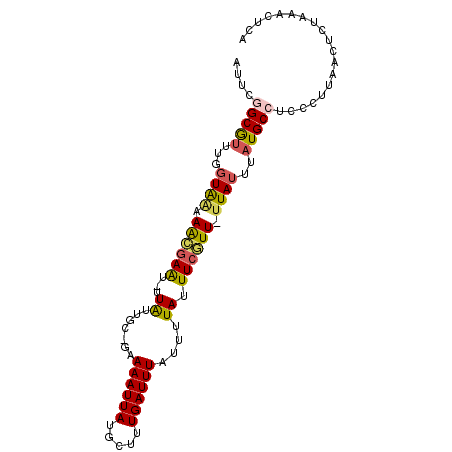 secondary structure