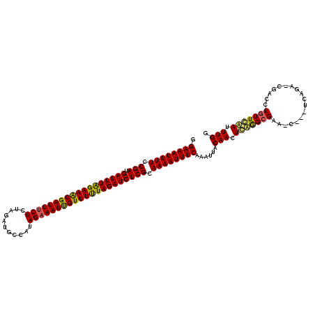 secondary structure