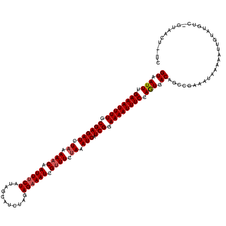 secondary structure