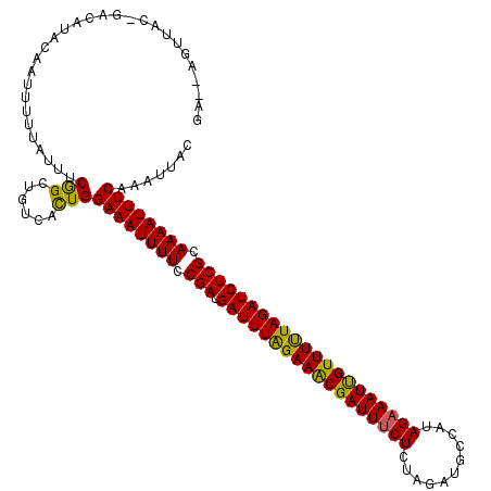 secondary structure