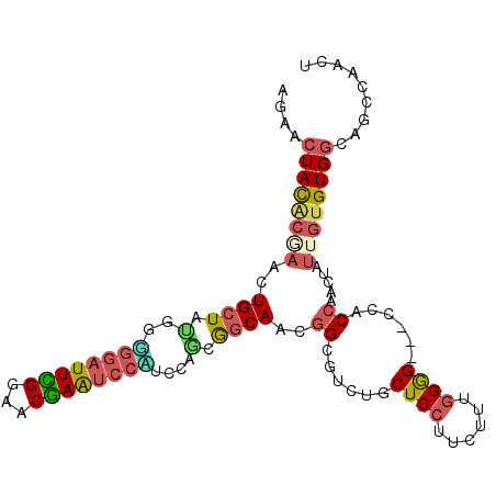 secondary structure