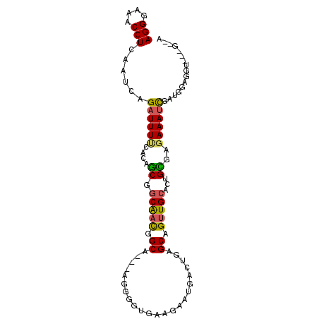 secondary structure