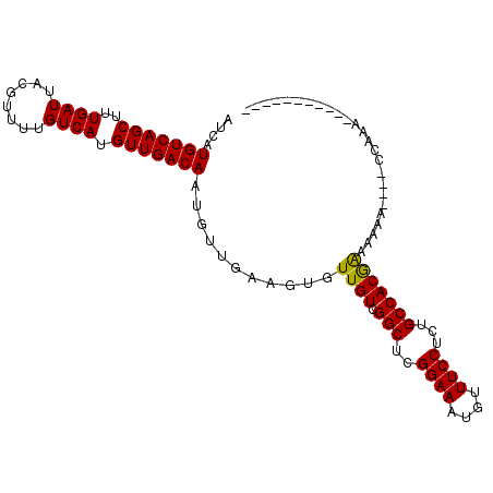 secondary structure