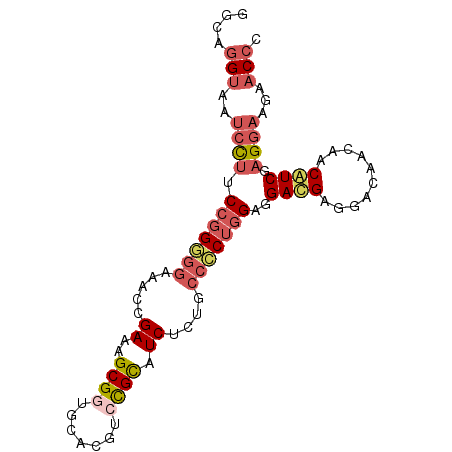 secondary structure