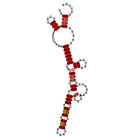 secondary structure