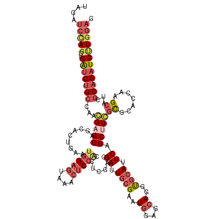 secondary structure