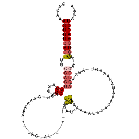 secondary structure