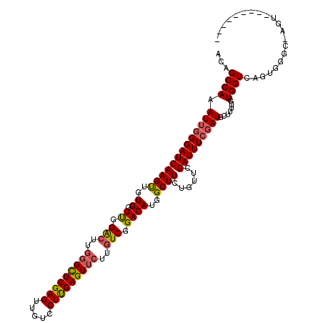 secondary structure
