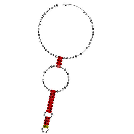 secondary structure