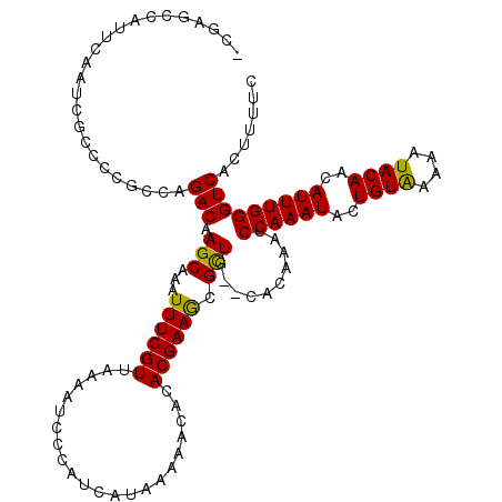 secondary structure