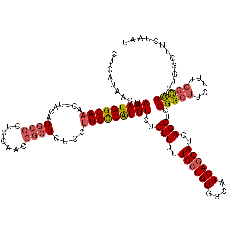 secondary structure