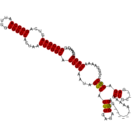 secondary structure