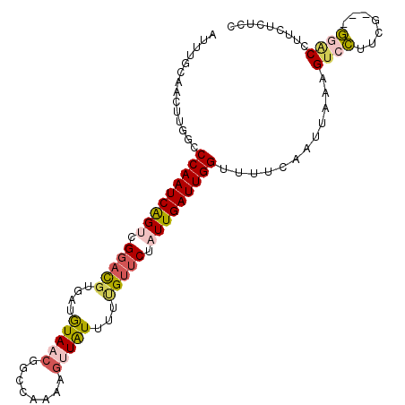 secondary structure