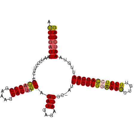 secondary structure