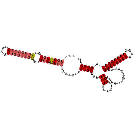 secondary structure