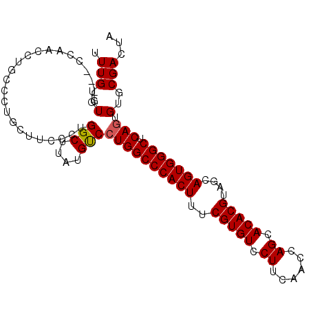 secondary structure
