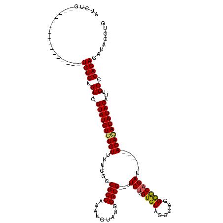 secondary structure