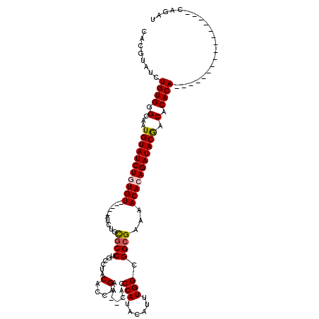 secondary structure