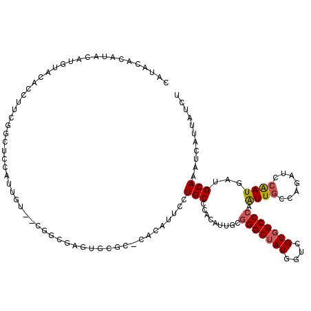 secondary structure