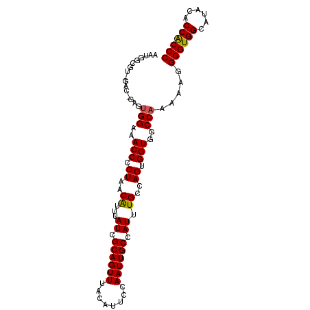 secondary structure