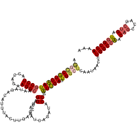 secondary structure