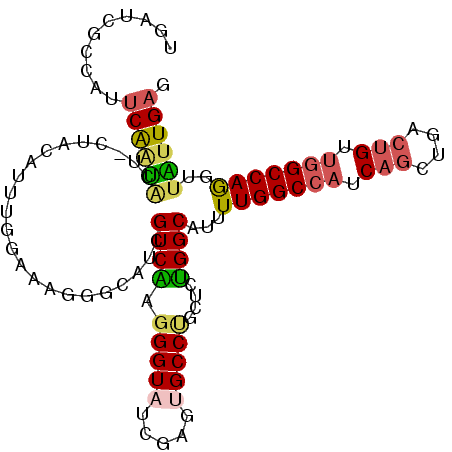 secondary structure