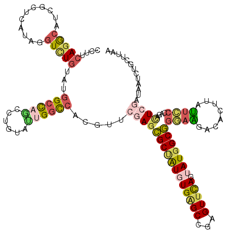 secondary structure