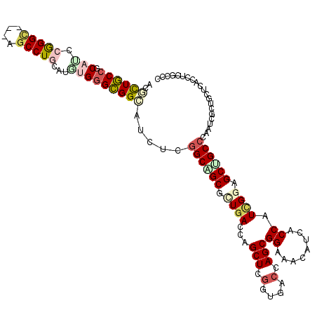 secondary structure