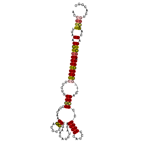 secondary structure