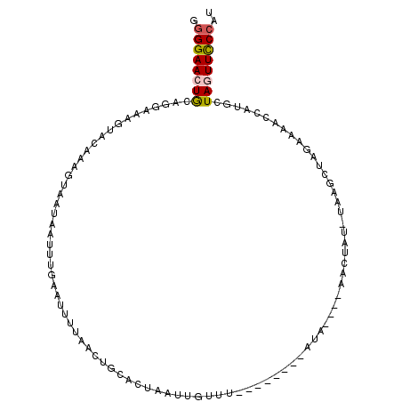 secondary structure