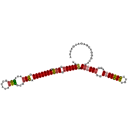 secondary structure