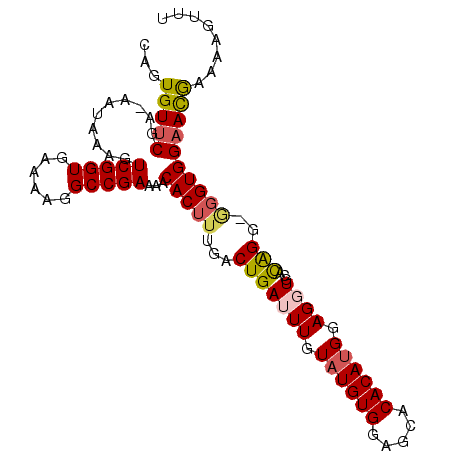 secondary structure