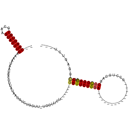 secondary structure