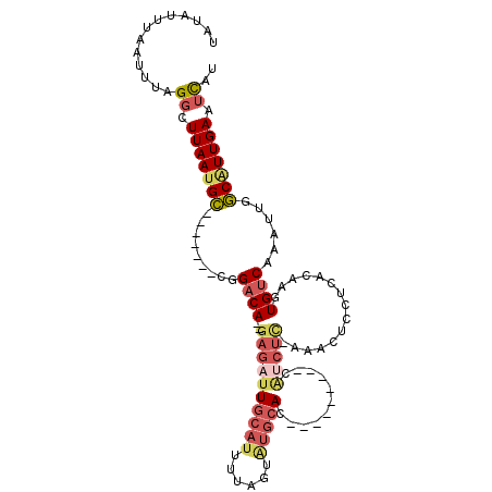 secondary structure